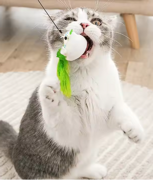 Interactief Katten Speelgoed met Veer en Bel – Zuignap Vogel Simulatie