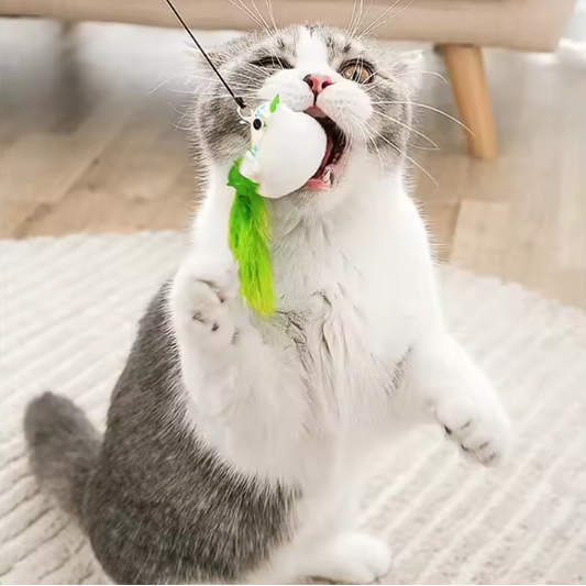 Interactief Katten Speelgoed met Veer en Bel – Zuignap Vogel Simulatie