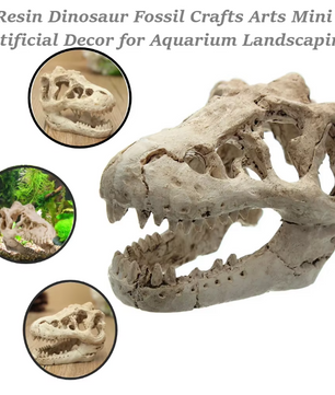 Dinosaurus Fossiel Aquarium Decoratie – Hars Ornament voor Aquarium en Terrarium