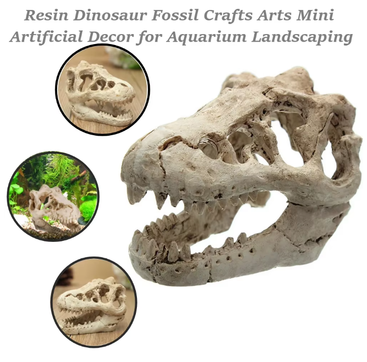 Dinosaurus Fossiel Aquarium Decoratie – Hars Ornament voor Aquarium en Terrarium