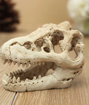 Dinosaurus Fossiel Aquarium Decoratie – Hars Ornament voor Aquarium en Terrarium