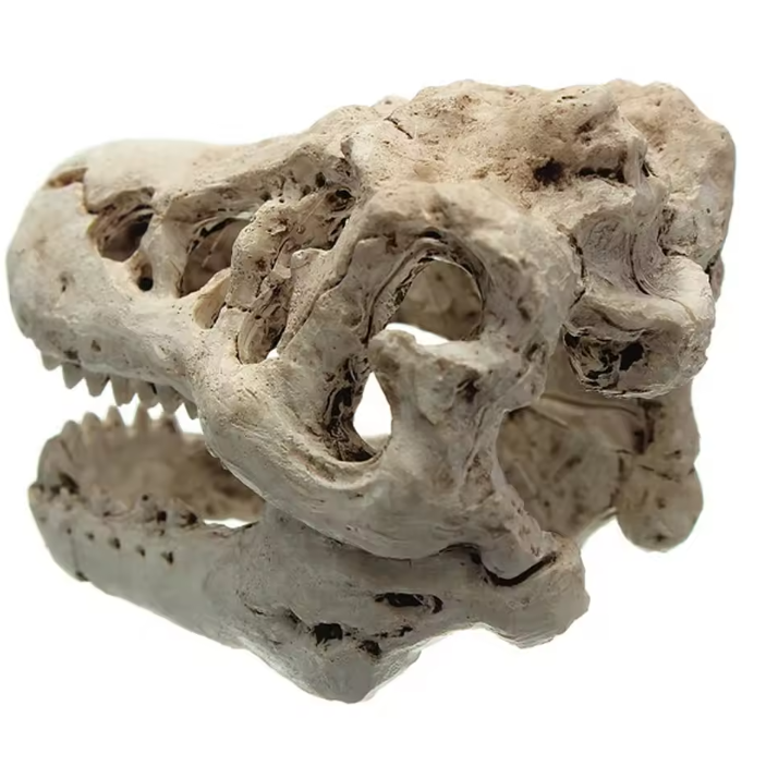 Dinosaurus Fossiel Aquarium Decoratie – Hars Ornament voor Aquarium en Terrarium