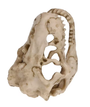 Dinosaurus Fossiel Aquarium Decoratie – Hars Ornament voor Aquarium en Terrarium