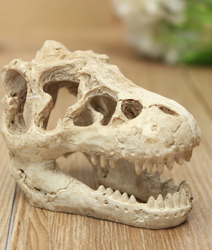 Dinosaurus Fossiel Aquarium Decoratie – Hars Ornament voor Aquarium en Terrarium