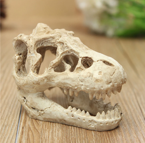 Dinosaurus Fossiel Aquarium Decoratie – Hars Ornament voor Aquarium en Terrarium