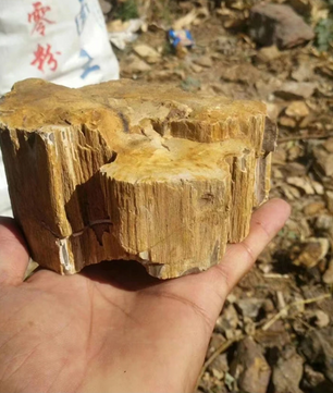 Natuurlijke Aquarium Stenen – Decoratieve Rotstuin Aquarium Decor