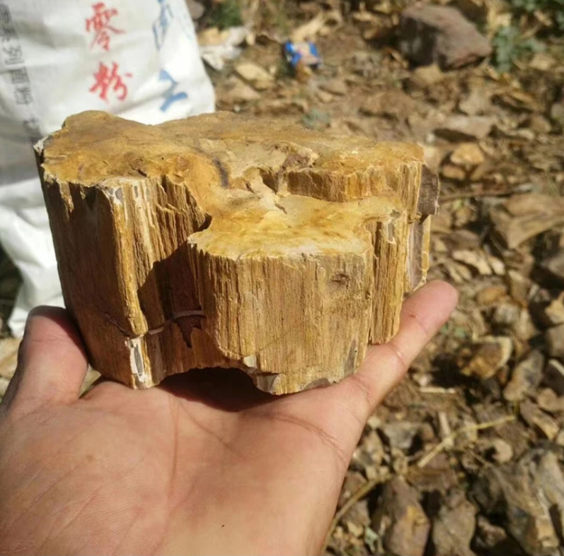 Natuurlijke Aquarium Stenen – Decoratieve Rotstuin Aquarium Decor