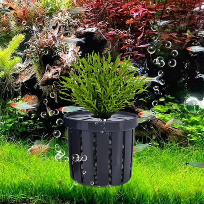 4-Delige Aquarium Plant Mand Set – Hydrocultuur Plant Houder