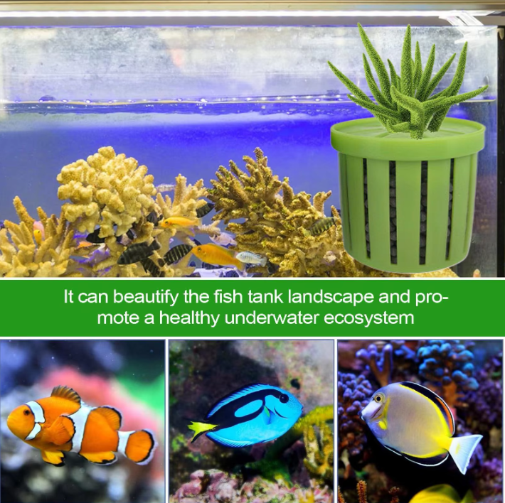 4-Delige Aquarium Plant Mand Set – Hydrocultuur Plant Houder