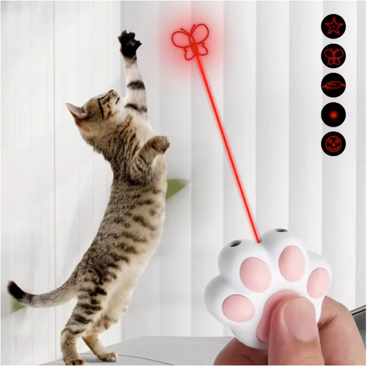 Interactieve Laser Pointer voor Kat en Hond – Oplaadbaar Speelgoed met Patronen