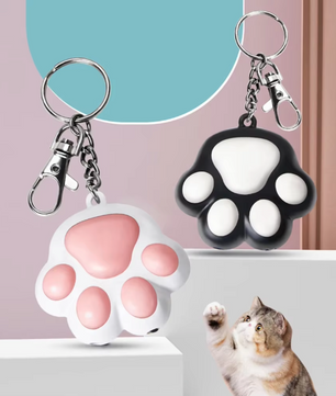 Interactieve Laser Pointer voor Kat en Hond – Oplaadbaar Speelgoed met Patronen