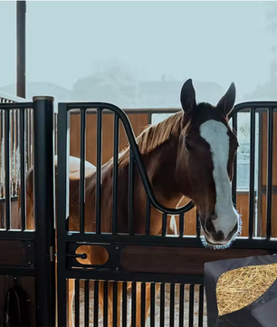 Waterdichte Hooibalenzak – Duurzame Voerzak voor Paarden en Vee