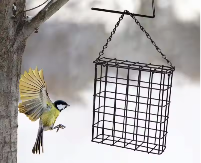 Metalen Vogelvoeder voor Vetbollen – Hangende Suet Feeder met Ketting