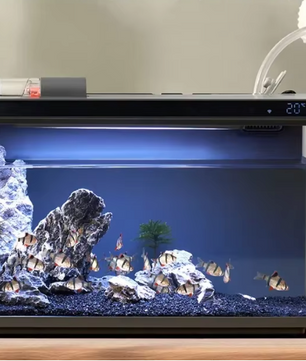 Slim Aquarium met App Bediening – Automatische Voeder en LED Verlichting