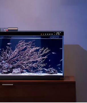 Slim Aquarium met App Bediening – Automatische Voeder en LED Verlichting
