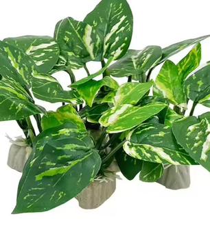 Aquarium Kunstplant Decoratie – Realistische Waterplant met Verzwaringsbasis voor Vissentank