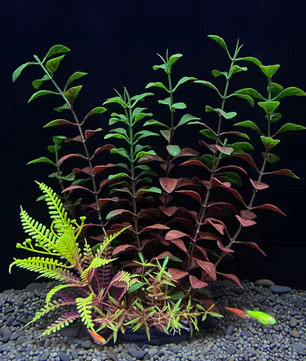 Aquarium Kunstplant – Realistische Onderwater Plant voor Aquarium en Vissenkom Decoratie