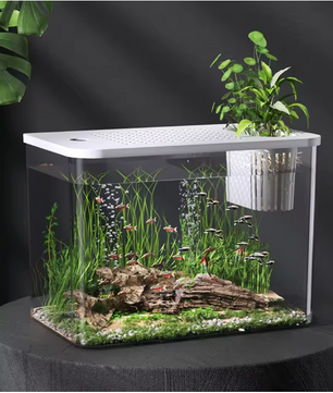 Transparant Aquarium met Deksel – Valbestendige Vissentank en Schildpadtank