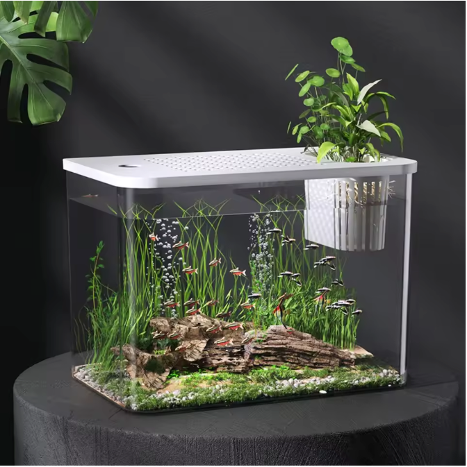 Transparant Aquarium met Deksel – Valbestendige Vissentank en Schildpadtank