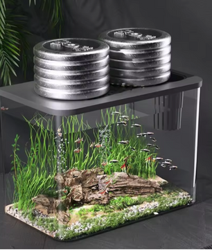 Transparant Aquarium met Deksel – Valbestendige Vissentank en Schildpadtank