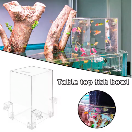 Acryl Aquarium Voederkamer – Negatieve Druk Isolatie en Observatie Box