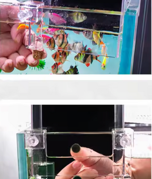 Acryl Aquarium Voederkamer – Negatieve Druk Isolatie en Observatie Box