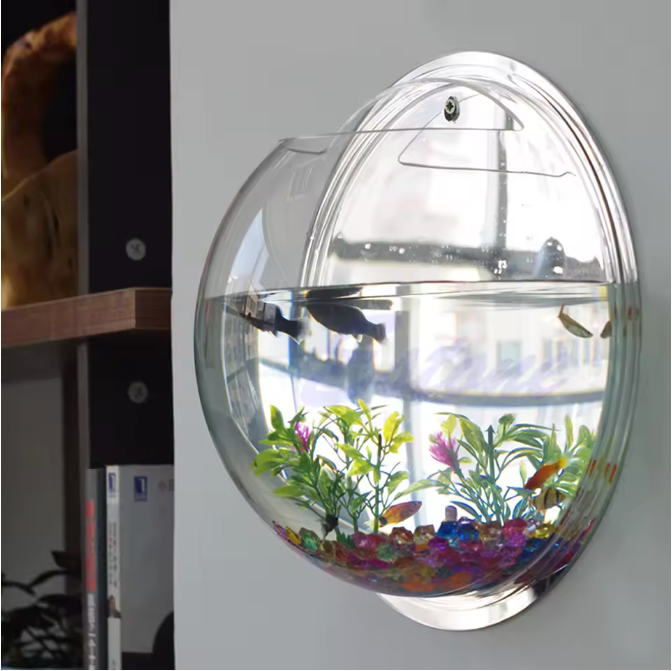 Wandgemonteerde Acryl Viskom – Transparant Mini Aquarium en Plantenhouder voor Muur
