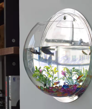 Wandgemonteerde Acryl Viskom – Transparant Mini Aquarium en Plantenhouder voor Muur