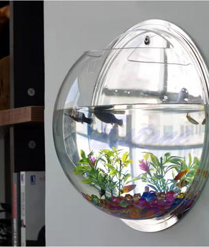 Wandgemonteerde Acryl Viskom – Transparant Mini Aquarium en Plantenhouder voor Muur