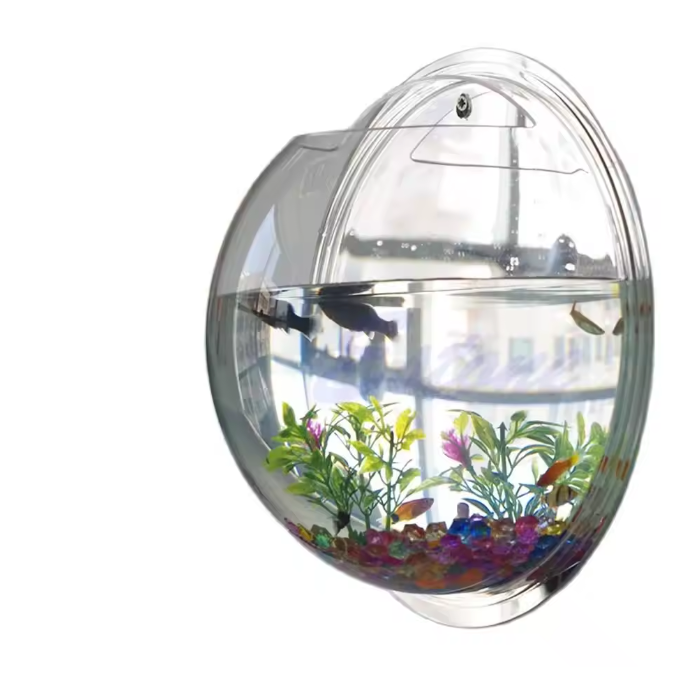 Wandgemonteerde Acryl Viskom – Transparant Mini Aquarium en Plantenhouder voor Muur