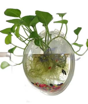 Wandgemonteerde Acryl Viskom – Transparant Mini Aquarium en Plantenhouder voor Muur