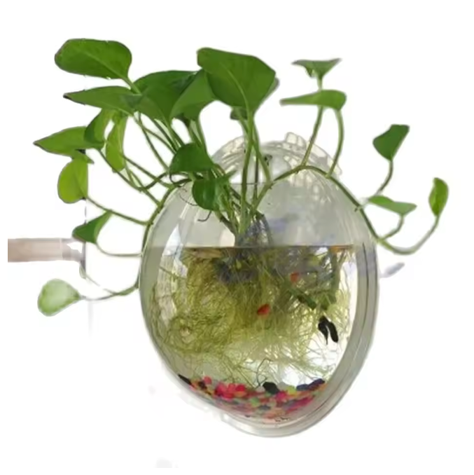 Wandgemonteerde Acryl Viskom – Transparant Mini Aquarium en Plantenhouder voor Muur