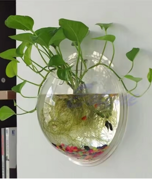Wandgemonteerde Acryl Viskom – Transparant Mini Aquarium en Plantenhouder voor Muur