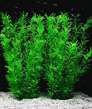 Aquarium Kunstplant 40 cm – Grote Realistische Waterplant Decoratie voor Vissenkom en Aquarium