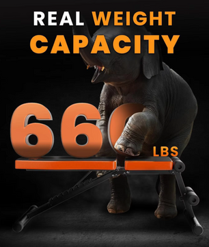 Opvouwbare Halterbank – Verstelbare Trainingsbank voor Full Body Workout tot 300 kg