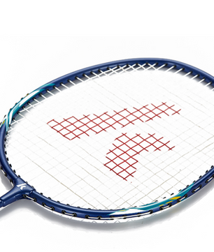 Badminton Set met 2 Rackets, 3 Shuttlecocks en Draagtas – Compleet en Lichtgewicht voor Training en Recreatie