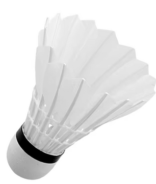 Badminton Shuttlecocks Set 3/6/12 Stuks – Ganzenveren Shuttles met Foam Kop voor Training en Wedstrijd