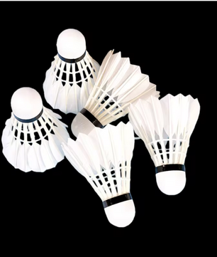 Badminton Shuttlecocks Set 3/6/12 Stuks – Ganzenveren Shuttles met Foam Kop voor Training en Wedstrijd