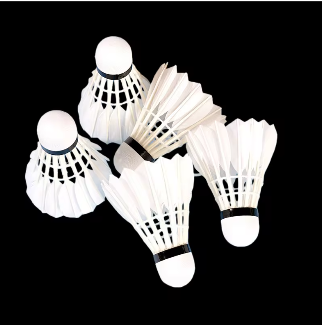 Badminton Shuttlecocks Set 3/6/12 Stuks – Ganzenveren Shuttles met Foam Kop voor Training en Wedstrijd