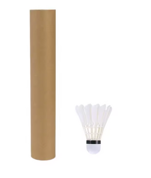 Badminton Shuttlecocks Set 3/6/12 Stuks – Ganzenveren Shuttles met Foam Kop voor Training en Wedstrijd