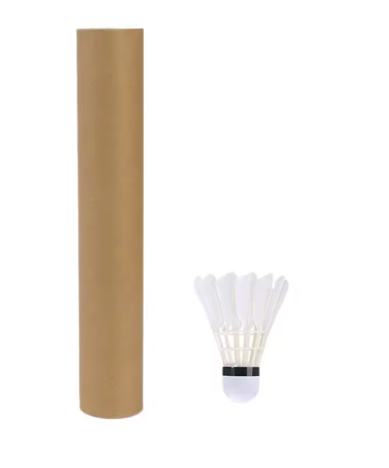 Badminton Shuttlecocks Set 3/6/12 Stuks – Ganzenveren Shuttles met Foam Kop voor Training en Wedstrijd