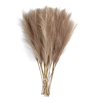 Kunst Pampas Gras Set 6 Stuks – Decoratieve Droogbloemen voor Interieur en Styling