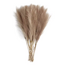 Kunst Pampas Gras Set 6 Stuks – Decoratieve Droogbloemen voor Interieur en Styling