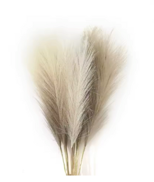 Kunst Pampas Gras Set 6 Stuks – Decoratieve Droogbloemen voor Interieur en Styling