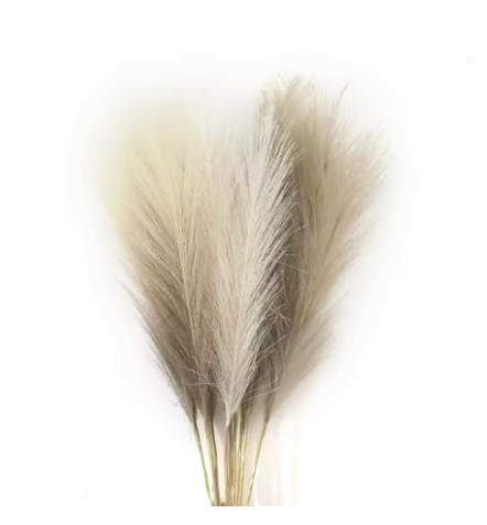 Kunst Pampas Gras Set 6 Stuks – Decoratieve Droogbloemen voor Interieur en Styling