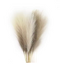 Kunst Pampas Gras Set 6 Stuks – Decoratieve Droogbloemen voor Interieur en Styling