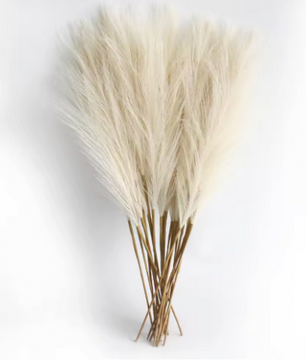 Kunst Pampas Gras Set 6 Stuks – Decoratieve Droogbloemen voor Interieur en Styling