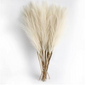 Kunst Pampas Gras Set 6 Stuks – Decoratieve Droogbloemen voor Interieur en Styling