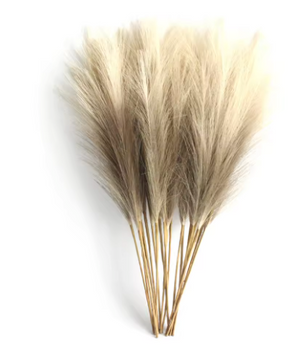 Kunst Pampas Gras Set 6 Stuks – Decoratieve Droogbloemen voor Interieur en Styling
