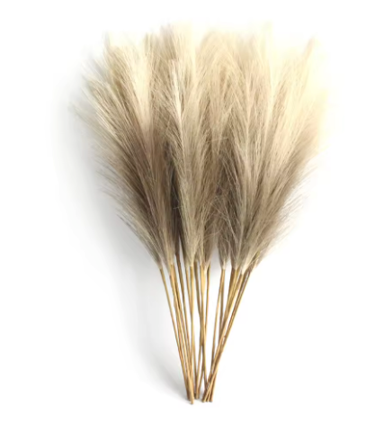 Kunst Pampas Gras Set 6 Stuks – Decoratieve Droogbloemen voor Interieur en Styling